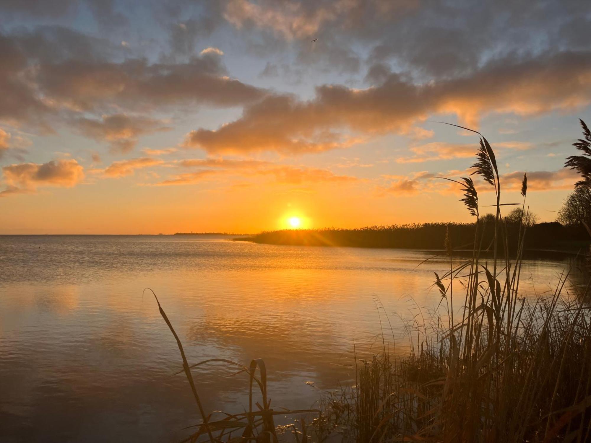 Grosse 4 Sterne Ferienwohnung Beim Boddenstrand Sundhagen-Niederhof Exterior foto